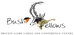 Bushfellows Private Game Lodge Logo